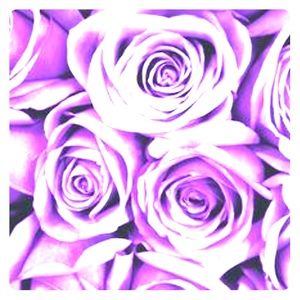 Meet your Posher, Laurie